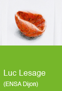 Luc Lesage