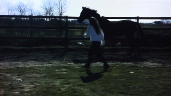 Milou van der Maaden – Horses II, 2011, video, performance, 7’00”