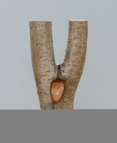 Camilla Skibrek – Prolízat si cestu dřevem, 2012,  dřevo, bronz,  25 x 12 x 9 cm