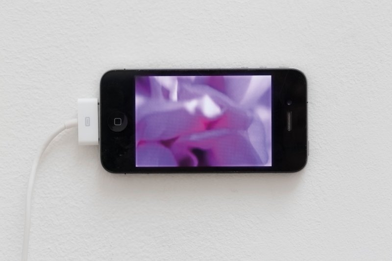 Karl Isakson – „Myslím na europium (purpurový květ v Baotou)“, 2015, iPhone 4S, nabíječka