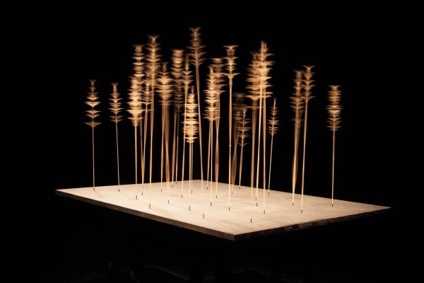 Vytautas Juozėnas – Uncertainty, 2015, installation (bentgrass (Agrostis), table, spinning electric motors)