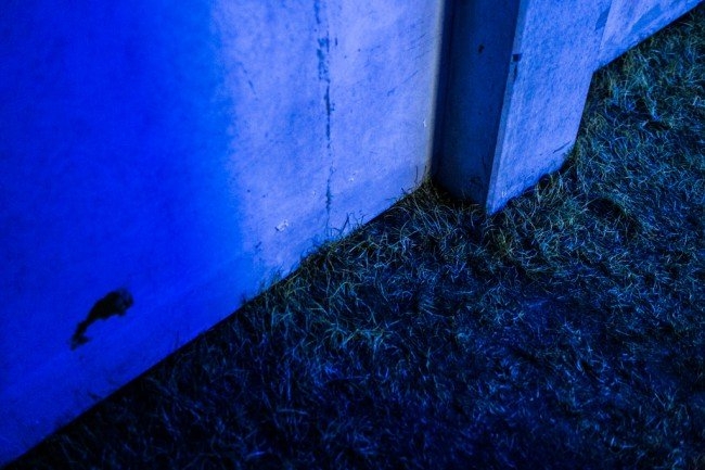 Ebony Hoorn – Black Sun Rising, 2016, vícemediální instalace, materiál: 40 LED TV monitor, modré záření, trávník, stříbrné hliníkové žaluzie, ble light filter. foto: Anne Lakeman  