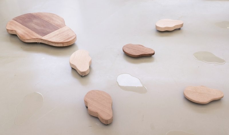 Suzie van Staaveren – Plas hout, Wooden puddle, 2016