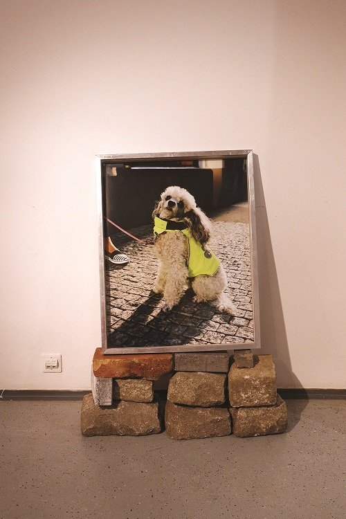 Deana Kolenčíková – Untitled, 2016, digital C-print, medium format photography, frame, pavement stones