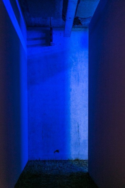 Ebony Hoorn – Black Sun Rising, 2016, mixed media installation, material : 40” LED TV monitor , blue ray , grass , silver aluminium blinds , blue light filter. photo: Anne Lakeman