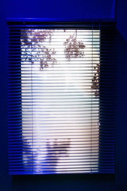 Ebony Hoorn – Black Sun Rising, 2016, mixed media installation, material : 40” LED TV monitor , blue ray , grass , silver aluminium blinds , blue light filter. photo: Anne Lakeman