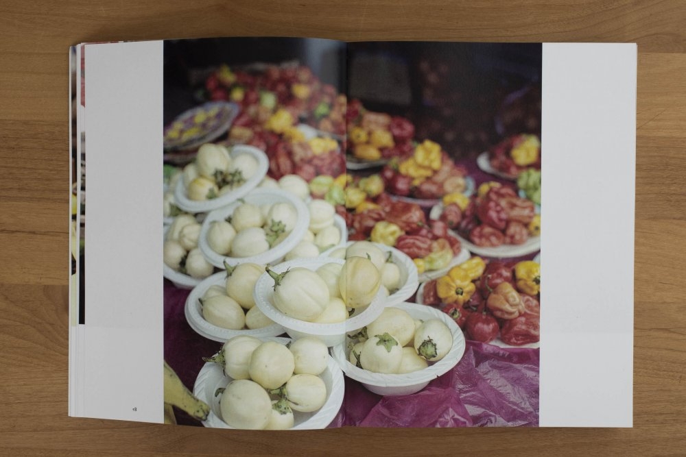 Tamara Stoll – Ridley Road Market, autorská kniha, 2018