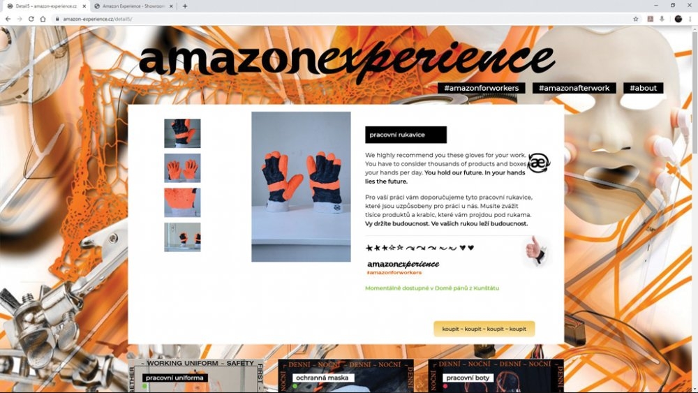 Nikol Hoangová – Amazonexperience, online store, 2019