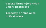 Vysoká škola výtvarných umení Bratislava